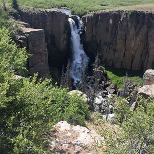 Meet your Posher, Lacey